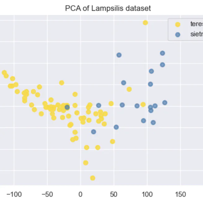 Cryptic Species Classification Using SVM
